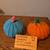 Decorative Pumpkins - unique, various sizes and stems 4 thumbnail