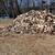 Fw.. kingsville farm selling firewood ... seasoned dry split and cut t 11 thumbnail