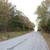 Scenic Lot with Power Access for Only $143 Down – Izard County, AR 2 thumbnail