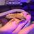 Ball pythons and crested geckos 2 thumbnail