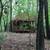 21 acres with a cabin 2 thumbnail