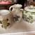 Kitchen table ware 2 thumbnail