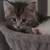 Rehoming 2 thumbnail