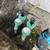 PVC LEAKS •REPAIRS• VALVES • SPRINKLER TIMERS • DRIP SYSTEMS 7 thumbnail