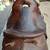 Used Saddle, Bridle, Bit, Reins, & Saddle Stand 7 thumbnail