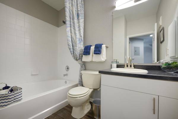 $1,619 / 1br - 793ft2 - Energy-Efficient Appliances, Washer & Dryer, Large Soaking Tubs*63962796555906124
