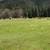 Homestead Land For Sale 18 thumbnail