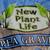 PEA GRAVEL Rock New Plant Life Garden Pool Dog Area Driveway Landscape 4 thumbnail