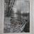 Medium size Framed Monochrome Nature Art – Art Maison Canad 1 thumbnail