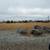 Baudette Lake of the Woods  13 Acre Land Commercial Property 2 thumbnail