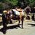 Pony Saddle & Pad !! Child’s Saddle or Miniature Horse 5 thumbnail