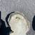 Decorative Concrete Cherubs 2 thumbnail