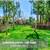 Absolutely fabulous 1 bed, 1 bath! Luxury living at Mediterra Apartmen 2 thumbnail