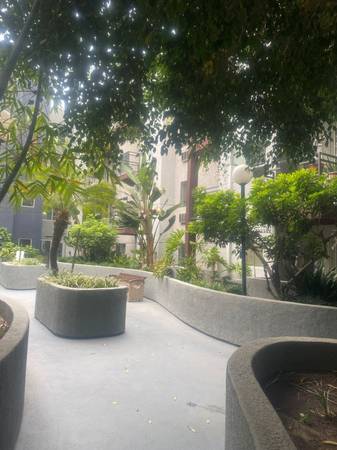 $1,349 / 1br - 495ft2 - 💬 Discover the Joy of 62+ Living at San Lucas Apartments (1221 W 7th St, Los Angeles, CA)63912983101571122