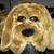 doggie 28 inch long 6 thumbnail