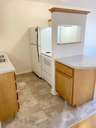 $795 / 350ft2 - Studio Apartment (Blackstone District) (Blackstone)63681713968129121