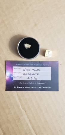 meteorites--nwa 7608 1