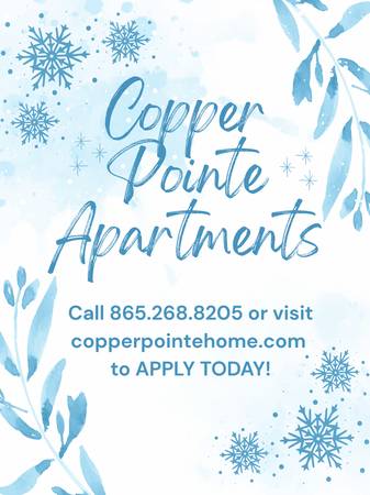 Apt. 237 COMING SOON! 1