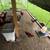 Complete Laying Hen Operation 12 thumbnail