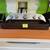 Group 5 - Shallow Bonsai pots and Saikei pot - in different size 2 thumbnail