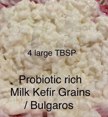 Kefir / Búlgaros  4 TBSP 1