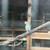 Ringneck bird 3 thumbnail