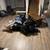 Junk removal services, clutter, trash, appliances, scrap metal, excess 6 thumbnail