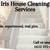 🟣Iris House Cleaning. Condos. Apartments. Move In Out, more🟣 7 thumbnail