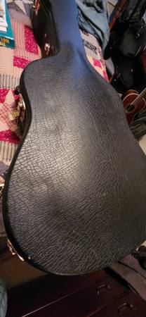 Guitar Case 1
