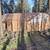 Siding/Decks/Interior trim carpentry 10 thumbnail