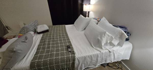 Wayfair Sleep Queen Adjustable Bed Base – Like New 1