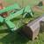 John Deere Loader 1 thumbnail
