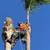 Professional Tree Trimming AND Removal 3 thumbnail