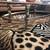 Gazelle Brass and Glass Coffee Table 1 thumbnail