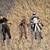 Star wars 3.75 figure collection 1 thumbnail