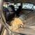 2003 Honda accord ex 6 thumbnail