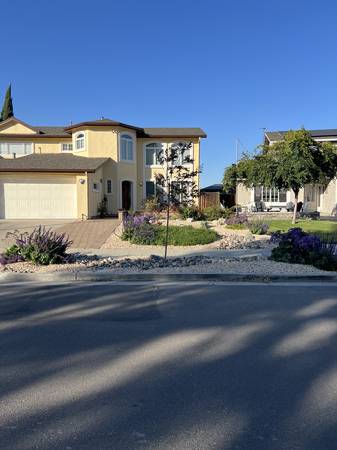 Landscaping*Drip*Sod*Pathways* 1