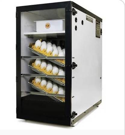 INCUBATOR SERVICE 1