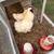Silkies 1 thumbnail