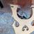 Upright Bass 8 thumbnail