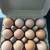 FRESH FARM EGGS & DEPENDING IN AREA WE DELIVER (for extra fee)!!!! 4 thumbnail