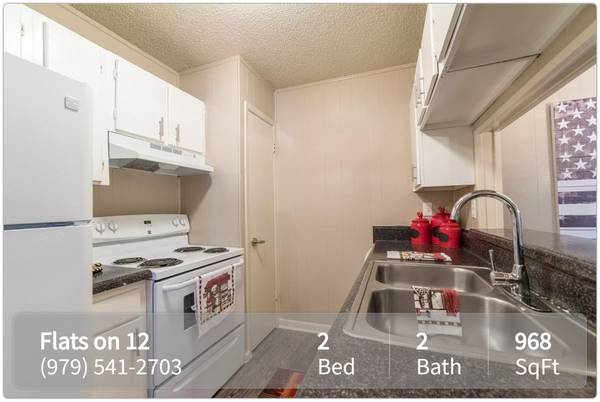 $960 / 2br - 968ft2 - Make memories, create moments: Check out our 2 BR. (College Station)63806705071491121