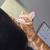 Missing kitten please help me find him Fort Worth Texas 4 thumbnail