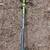 Ryobi 40V Trimmer tool only 1 thumbnail