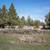 Price Adjustment! Cute Manufactured Home on 2.37 Acres 23 thumbnail