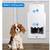 Door Mount Pet Door 7 thumbnail