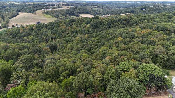 $97,000 18 ACRES FOR HOW MUCH?!? (Evans City)63664544109953120