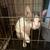 Sweet kitty 3 thumbnail