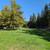 Urgent lease take over (with reward)  3bdr detached house in Davis 16 thumbnail