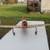 RC AIRPLANE P-51 6 thumbnail